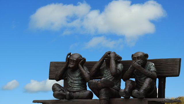 Bueyes perdidos y encontrados