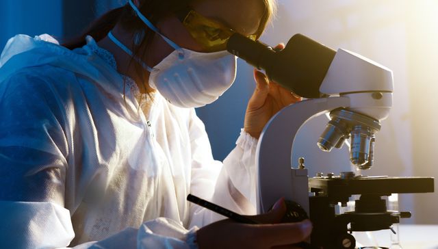 Innovación y otras yerbas