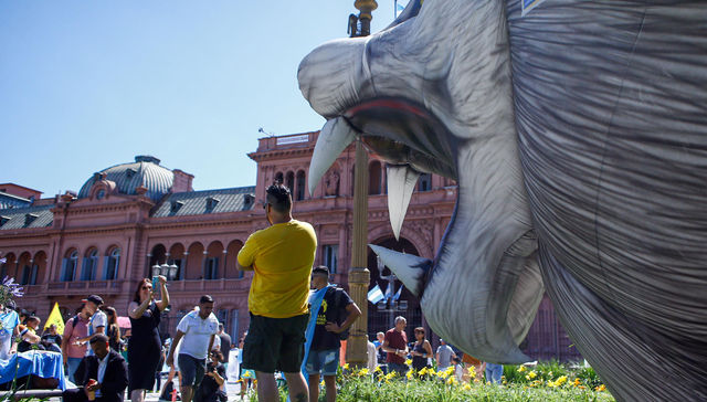 Escribe Diego M. Raus