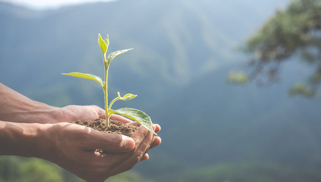 Santander presentó su primer Informe Ambiental, Social y de Gobernanza