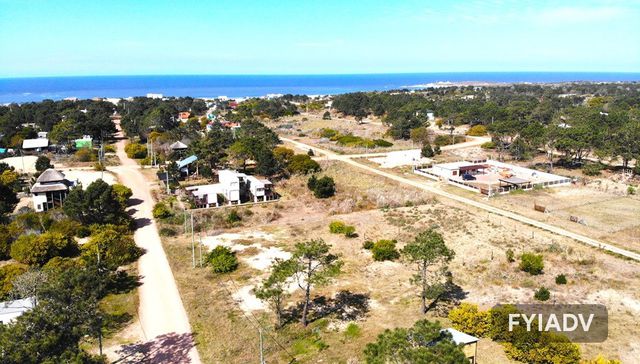 ¿Con cuál me quedo?