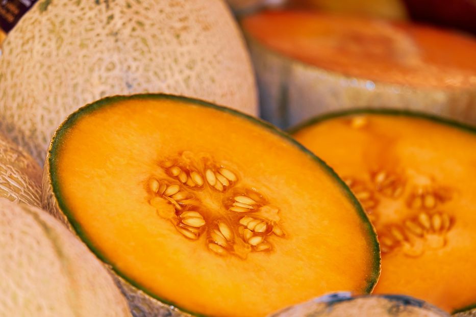 Sal-melón-ela