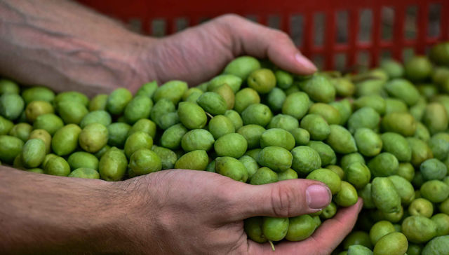 El negocio en busca de sentido