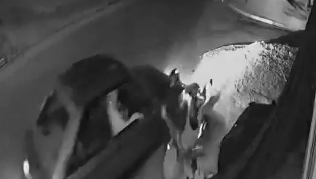 Desgracia con suerte