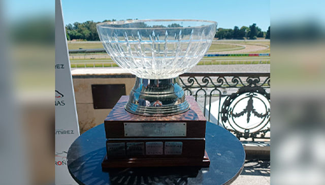 Los pingos se ven en la cancha