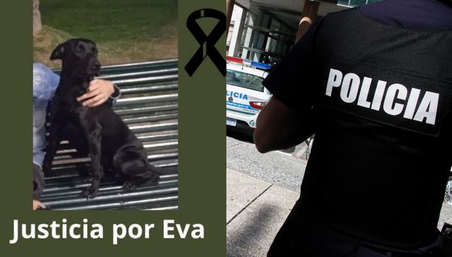 “Todas las vidas son importantes”