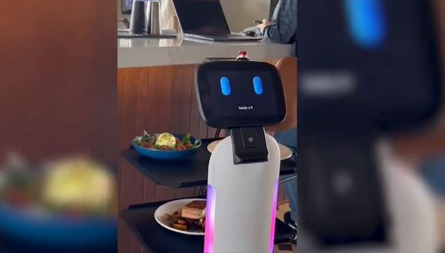 El primo de Robotina