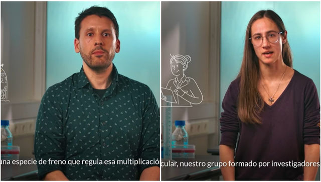 Colaboración saludable