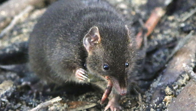 Morir con los ojos abiertos