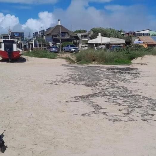 Estudio de CURE detectó alta presencia de coliformes fecales en playa de Punta del Diablo