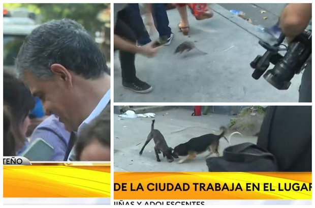 Argentina: una rata pasó por entre las piernas de Jorge Macri y fue devorada por perros