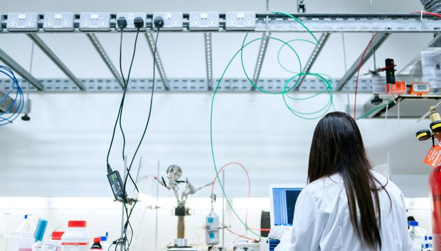 Innovación y otras yerbas