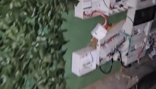 Quieren bailar los muchachos