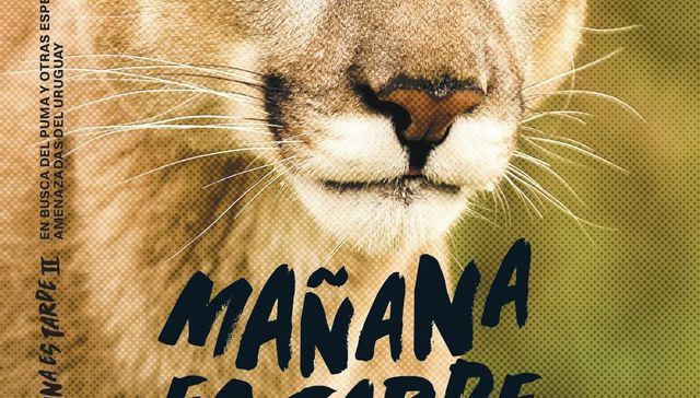 Se escapa (por suerte) la tortuga