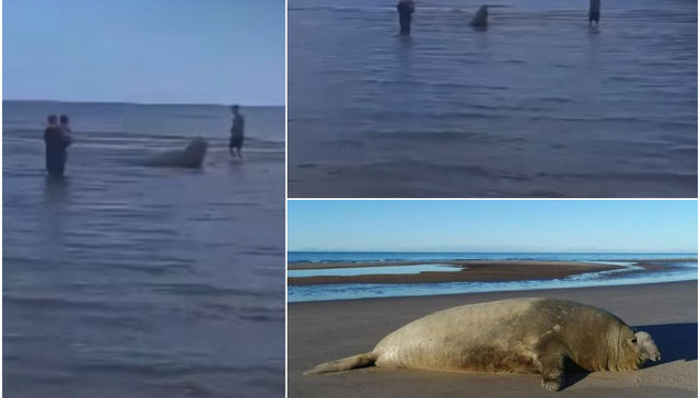 Quiero la hoja de reclamos