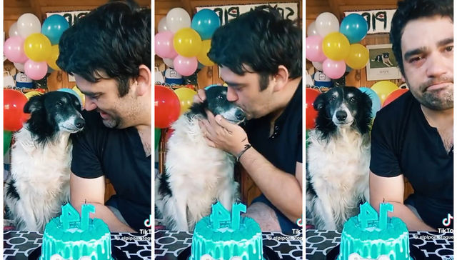 El perro tendrá su día