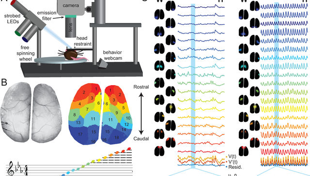 Eso sí que es otra onda