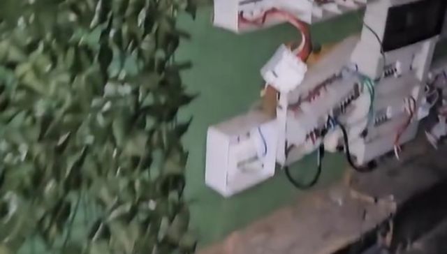 Quieren bailar los muchachos