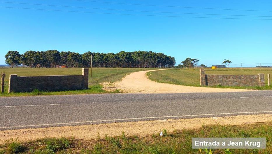 Foto: cedida a Montevideo Portal