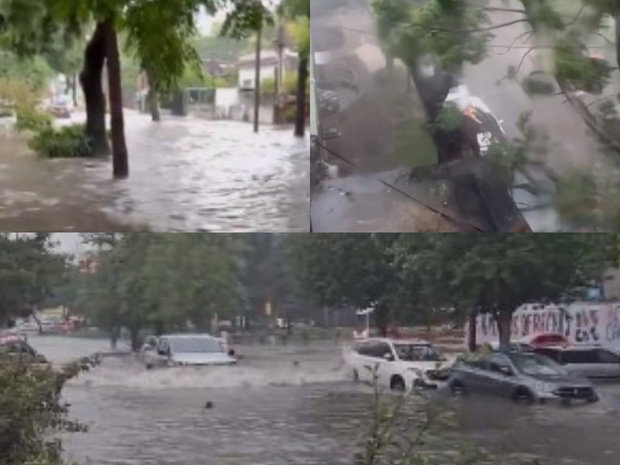 Calles inundadas, árboles caídos y desvíos en tránsito por intensas lluvias en Montevideo