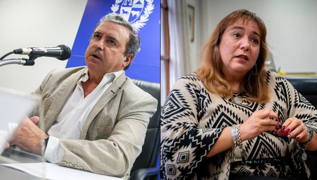 Irene la constructora