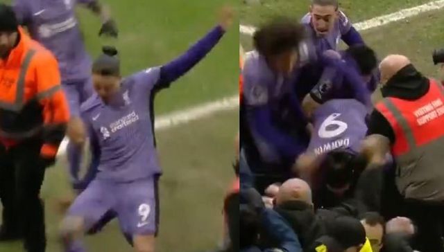 Darwin, la gente está muy loca