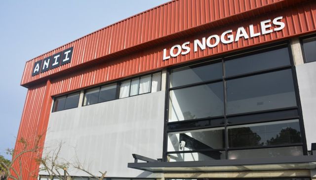 Innovación y otras yerbas