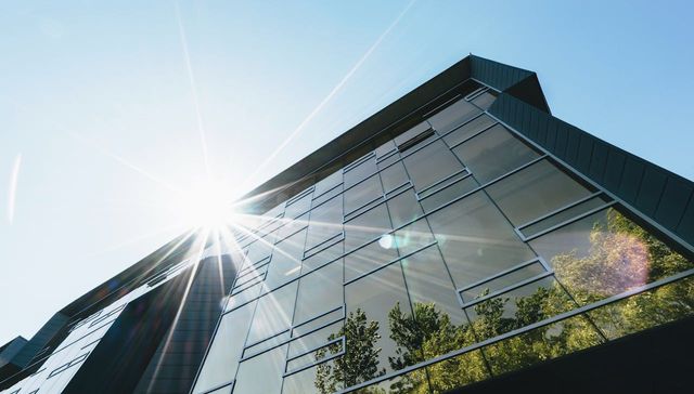 El negocio en busca de sentido