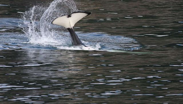 Más que los calores