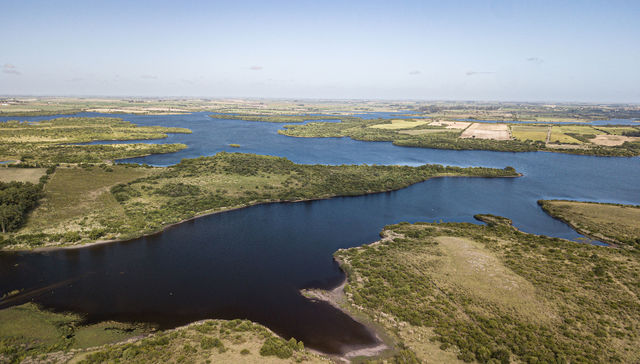 Escribe Ernesto Fernández Polcuch