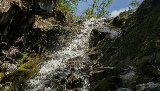 Día Mundial del Agua: Coca-Cola busca reafirmar su compromiso global