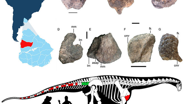Entre candombe e inmigrantes