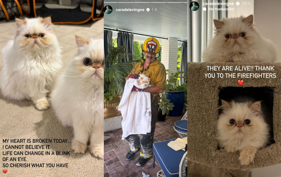 Foto: Capturas de las historias de Instagram de Cara Delevingne