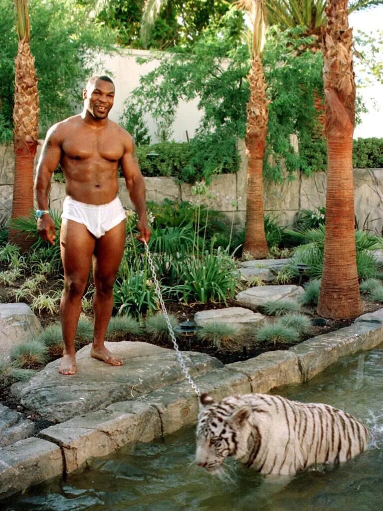 Mike Tyson con su tigre de bengala (Shutterstock)