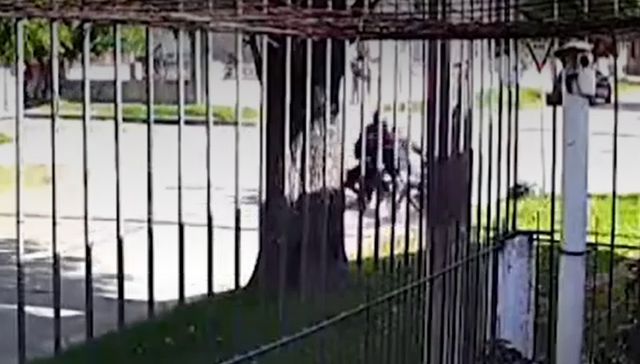 Desgracia con suerte