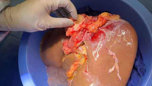 Por The New York Times