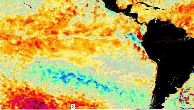 A pastar al lado de la ruta