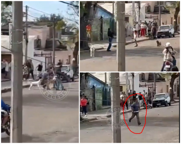 “¡Ando con ganas de matar a uno!”: video muestra apuñalamiento de madre e hijo en Mercedes