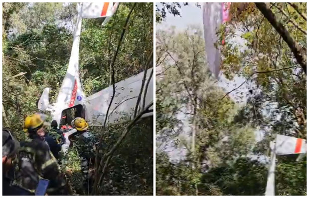 Mayday: avioneta cayó en Marindia y quedó atrapada entre árboles