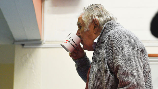 Bueyes perdidos y encontrados