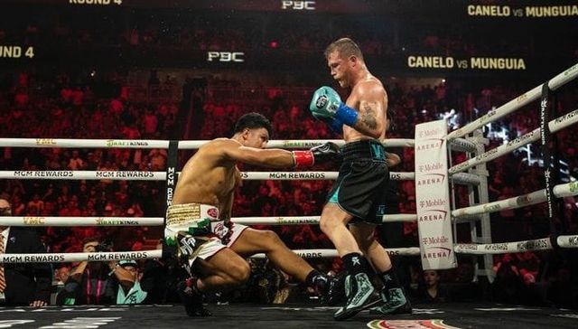 Dueño de los cinturones