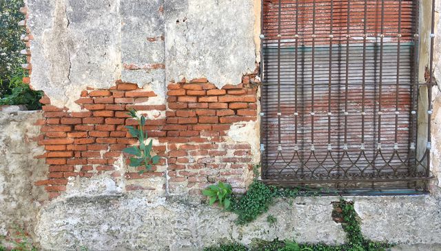 Obsesiones y otros cuentos