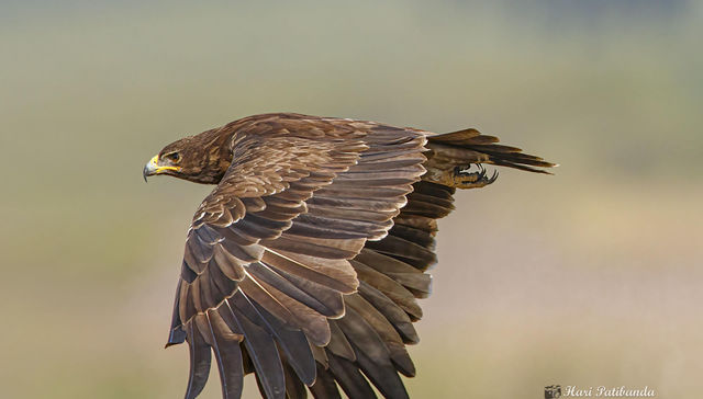 El perjuicio es general
