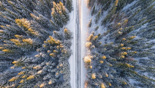 Todo por el copo de nieve