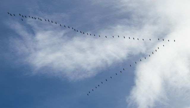 El negocio en busca de sentido