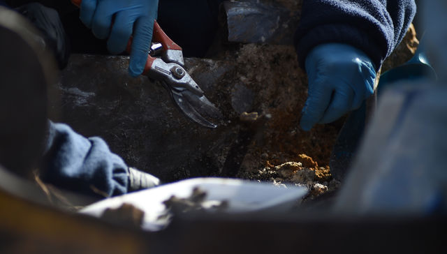 Todos somos familiares