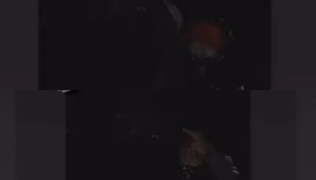 Y siguen sin aprender