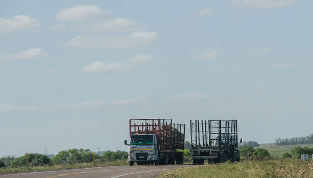 Escribe Gustavo Olmos
