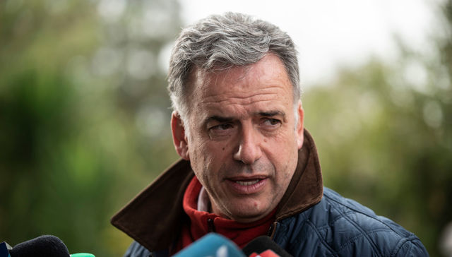 Chats, dichos y reacciones