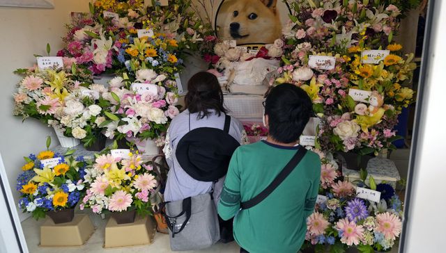 Día de perros